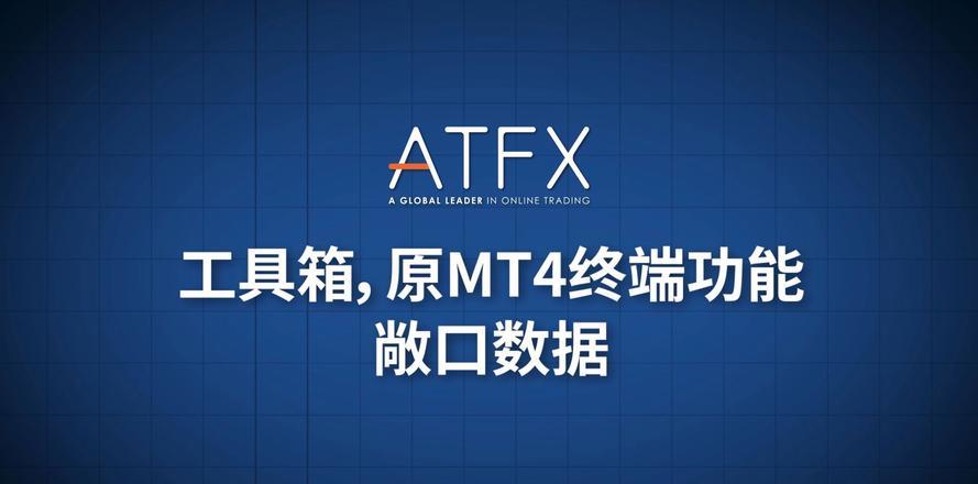 MT5